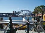 sydney-bridge1