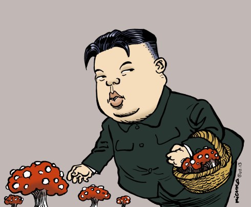 Corée du Nord 02.13