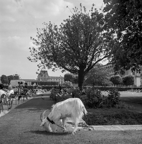 1385907_10151975681582392_605706565_n