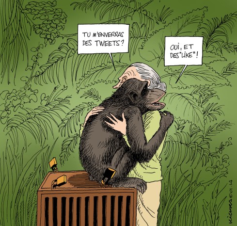 Jane Goodall and Wounda
