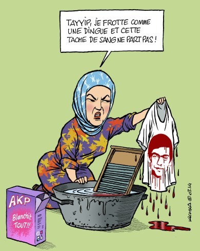 Erdogan Mort de Berkin Elvan