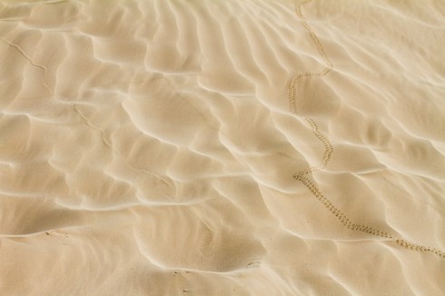 10156139_10152386090177392_448950119752412841_n