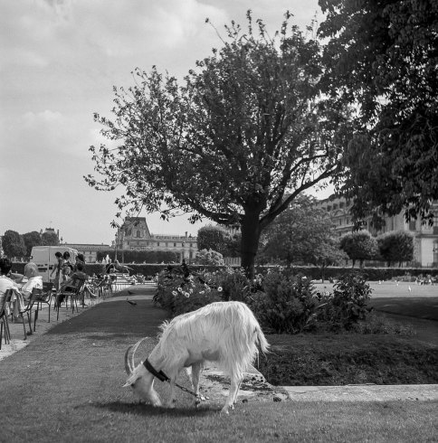 1780243_408840192601091_3729328267457132567_o