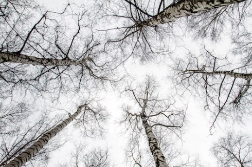 elimaxkichka-20-copy