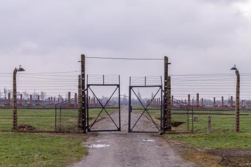 11103244_10153246830662392_8771972107144480634_o