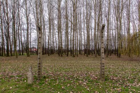 11128844_10153246821702392_7744125756639639247_o