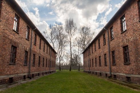 11146422_10153246788477392_7780155243223507220_o