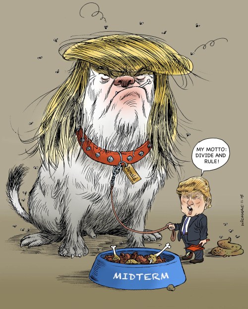 Trump Midterm