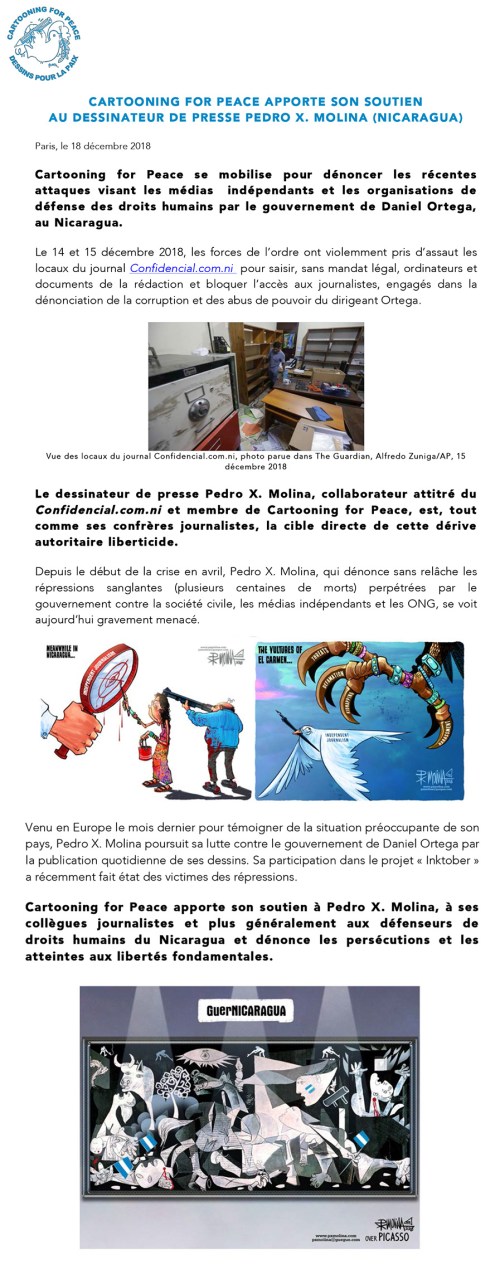 Microsoft Word - CP Pedro Molina_ VF_181217.docx